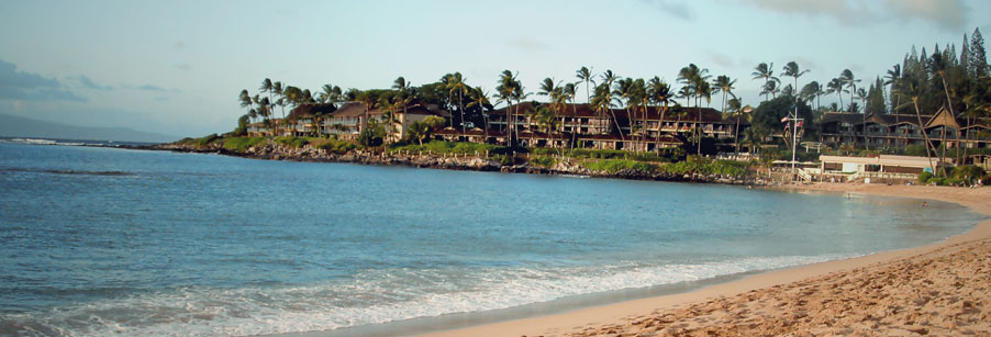 Ciara Quam Real Estate Maui
